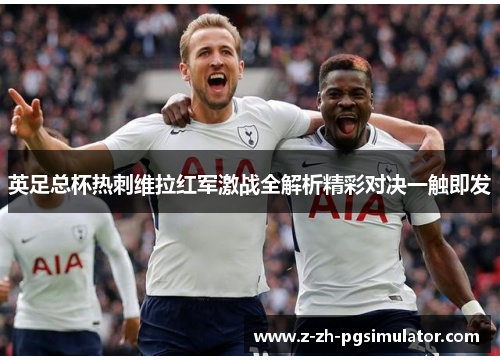 英足总杯热刺维拉红军激战全解析精彩对决一触即发 英足总杯热刺维拉红军激战全解析精彩对决一触即发
