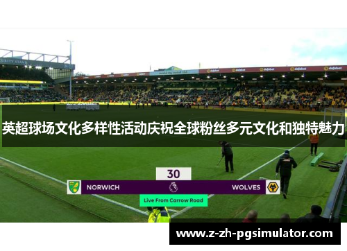 英超球场文化多样性活动庆祝全球粉丝多元文化和独特魅力
