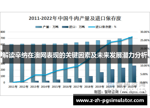解读辛纳在澳网表现的关键因素及未来发展潜力分析