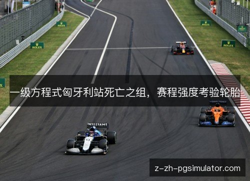 一级方程式匈牙利站死亡之组，赛程强度考验轮胎